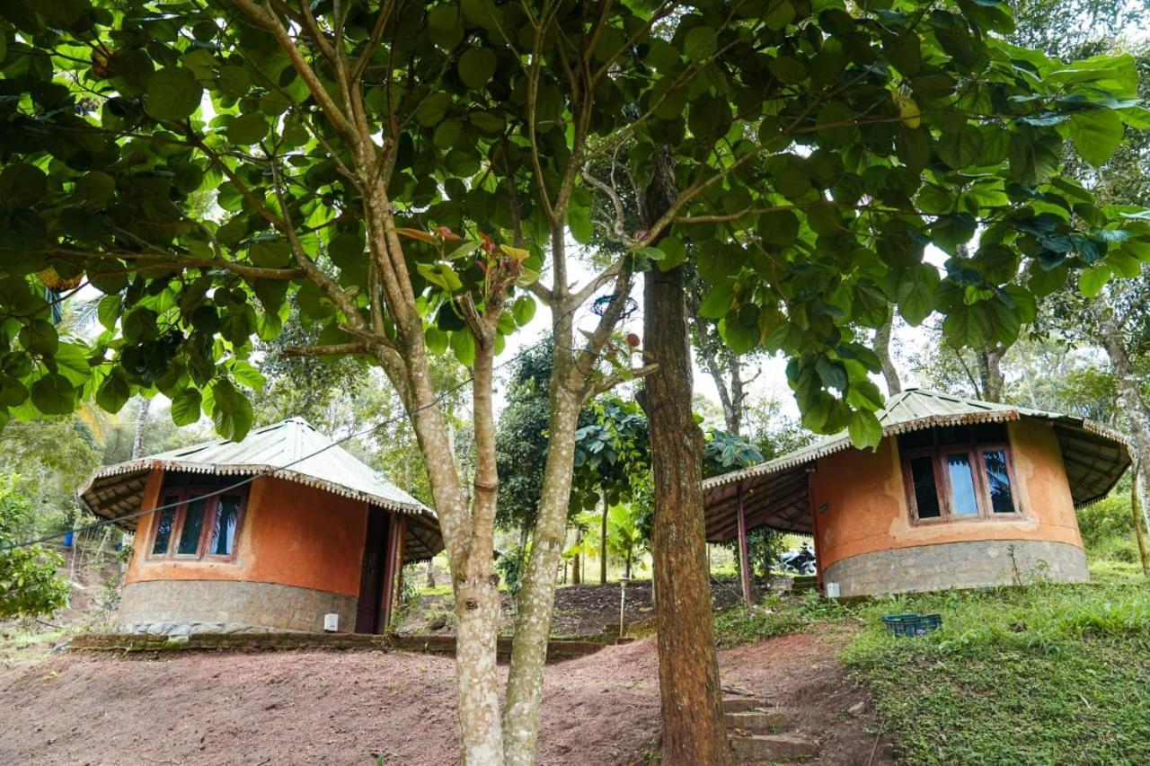 Punarjani Ayurvedic Resorts Ramakkalmedu Exterior photo
